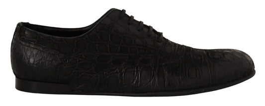 Dolce &amp; Gabbana Elegant Oxford shoes made from exotic leather