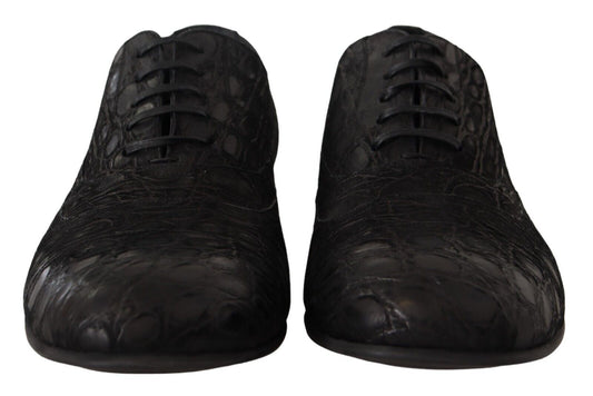 Dolce &amp; Gabbana Elegant Oxford shoes made from exotic leather