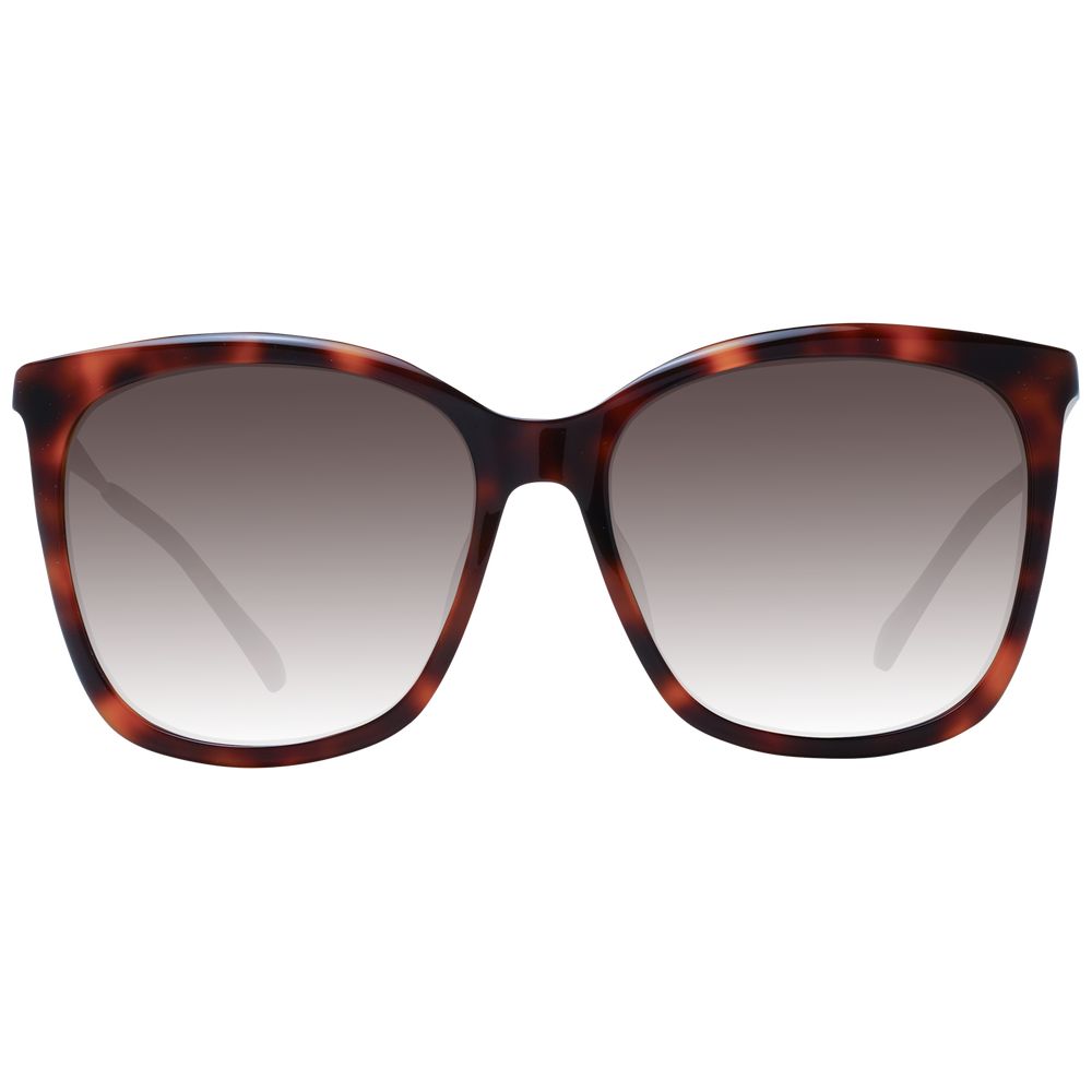 Jimmy Choo Braune Frauen Sonnenbrille